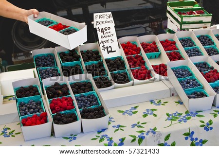 Vendor at farmers market sets out trays of berries for sale