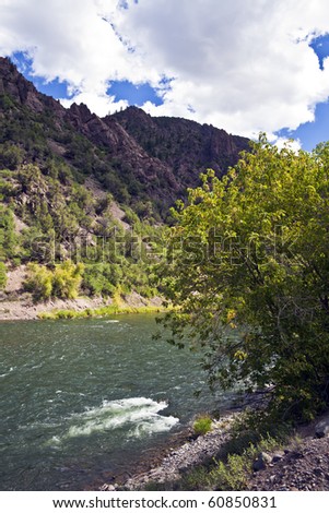 Trees and shrubs line the Gunnison River in Black Canyon of the Gunnison National Park in Colorado