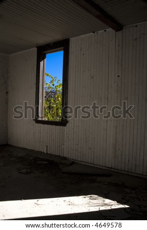 Blue sky and grape vine through old window in abandoned ranch building.