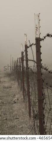 Barbed wire cattle fence disappearing into fog. (1598)