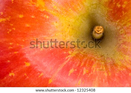 Closeup of the Stem End of an Apple