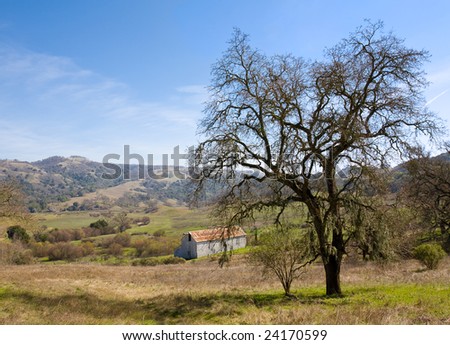 Old Barn and Oak Tree in Rolling Landscape