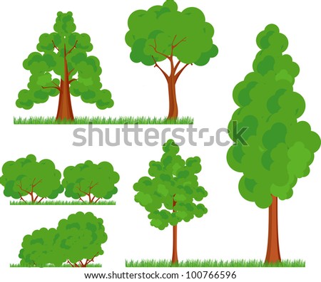 types trees
