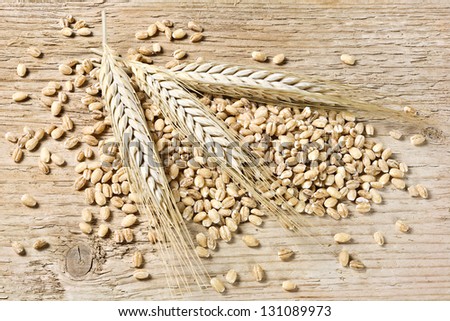 Barley, Ears And Grain