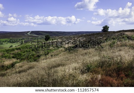 Undulating landscape of grasses, ferns, and heather in the heart  of the North York Moors near Goathland, Yorkshire, UK. The road in the background goes to Whitby and beyond.