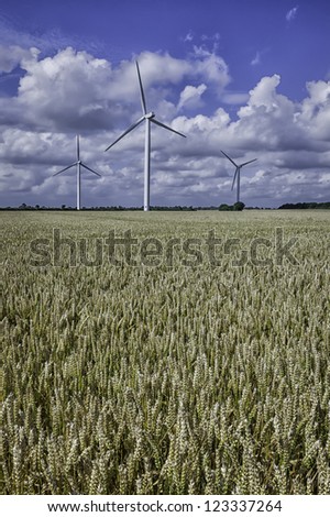 Bridlington, Yorkshire, UK. View of a wheat field ready for harvesting and also a modern wind farm set against a blue sky and clouds in summer.