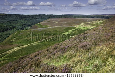 Goathland, Levisham, Yorkshire, UK. View of the North York Moors on a bright summer's day near the villages of Goathland and Levisham, Yorkshire, UK.