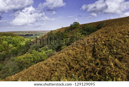 Goathland, Yorkshire, UK. view of the rolling landscape near West Beck in the heart of the North York Moors National Park showing ferns, trees, and hills during autumn (fall).