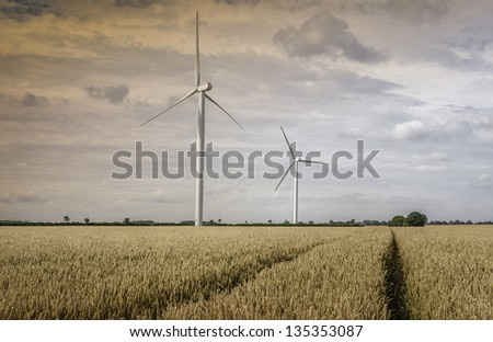 Beverley, Yorkshire, UK. Wind turbines in a wheat field with tractor tracks at dawn on a beautiful summer day near the small market town of Beverley in the East Riding of Yorkshire, UK.