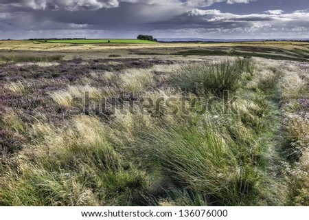 Levisham, Yorkshire, UK. View of the undulating, rugged landscape of the beautiful North York Moors and heather in bloom in summer in north Yorkshire, UK.