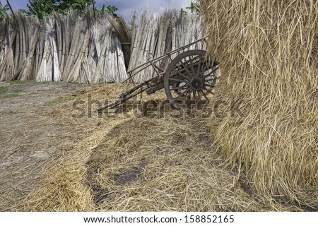 Guwahati, Assam, India. stacks of jute reeds, and haystack drying in the sun and a tradition wooden farm cart in a village near Guwahati, Assam, India.
