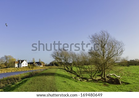 Beverley, UK. A footpath along the west bank of the river Hull with storm damage tree and some houses on a fine winter morning near Beverley, Yorkshire, UK.