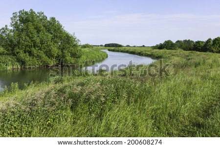 Beverley, Yorkshire, UK. The river Hull and its banks covered in flora and grasses on a fine summer evening near Beverley, Yorkshire, UK.