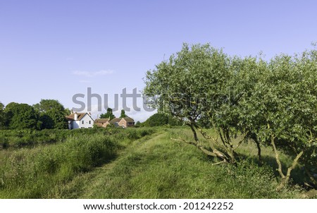 Beverley, Yorkshire, UK. A footpart along the bank of the river Hull with storm damaged tree on a fine summer day near Beverley, Yorkshire, UK.