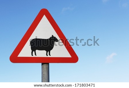 A warning of sheep on the road British sign with copy space..