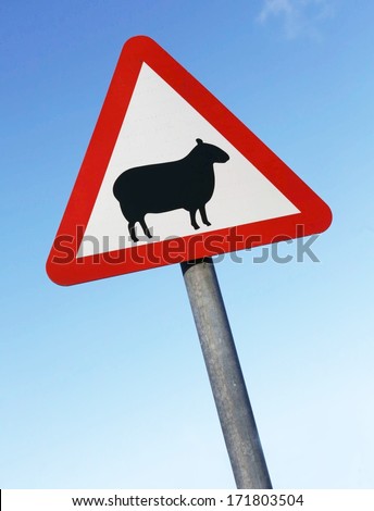 A warning of sheep on the road British sign.