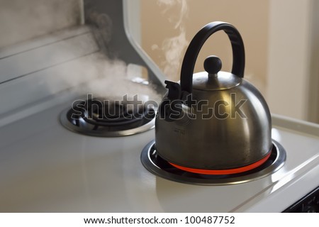 Stainless steel tea kettle coming to a boil on a white stove top.