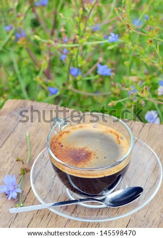 isolated chicory hot drink in transparent cup on wooden background