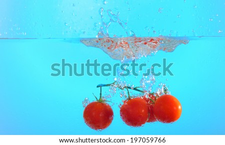 bunch of cherry tomatoes in splash of water, Isolated on blue background