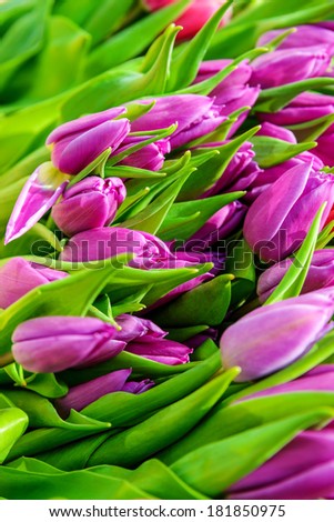 bouquet of tulips on the market in spring