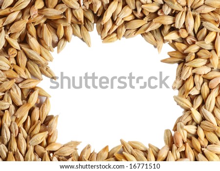 stock photo : Barleycorn seeds