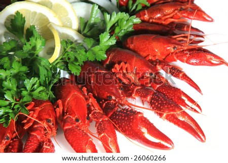 Fresh seafood with herb and lemon on a plate