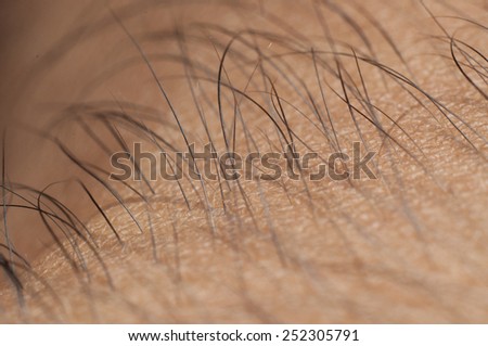 Human hairy skin closeup (shallow depth of field).