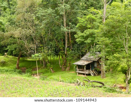 Rural house ,Chiangmai,Thailand