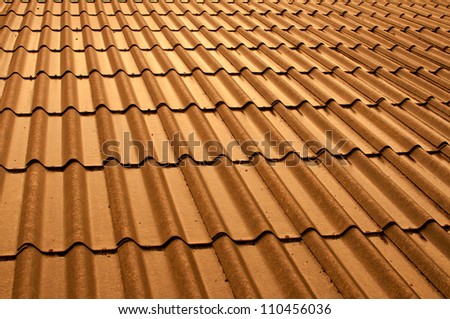 shiny roof after rain sunset light