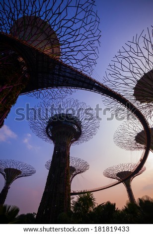 SINGAPORE - MARCH 09: Silhouette of Gardens by the Bay  on March 09, 2014 in Singapore. Gardens by the Bay was crowned World Building of the Year at the World Architecture Festival 2012