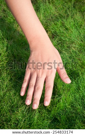 Woman hand over green lush grass