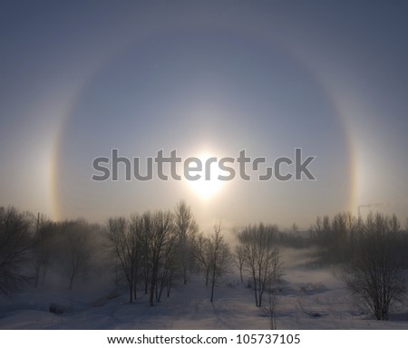 The halo around winter sun. The park  is covered by white snow.
