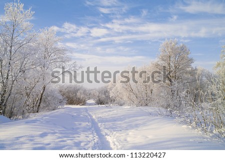 Snow footpath, trees in snow and the blue sky with clouds.