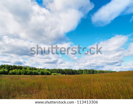 Rural landscape, look in the field and the sky in good weather. The wood and hills is in the distance visible. Sunny weather.