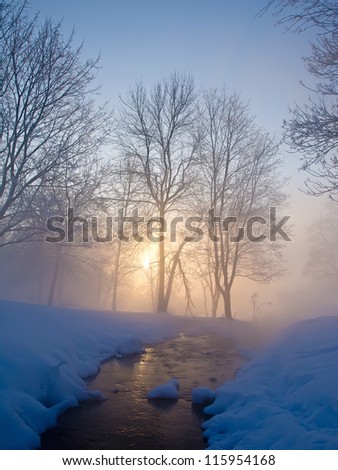 A rising sun in the winter park. Winter fog early in the morning in a clear weather
