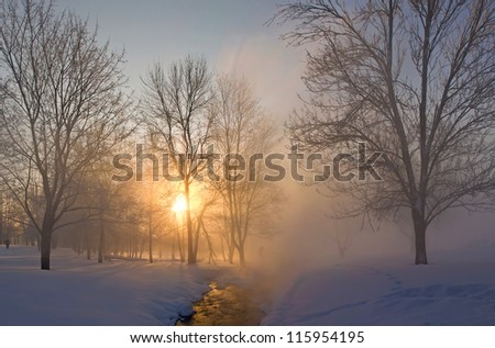 A rising sun in the winter park. Winter fog early in the morning in a clear weather