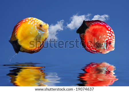 Tropical fishes jumping over  water.