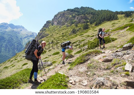 Group of hikers in the mountain. Climb to the top. summer hiking