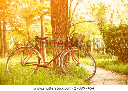 Vintage bicycle waiting near tree in the park. bike outdoor