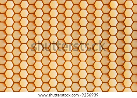 cell of honeycomb