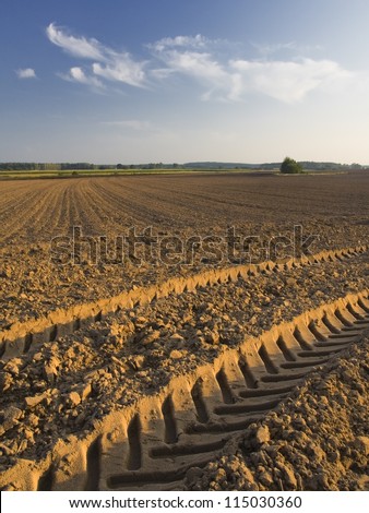 plowed field with tractor traces