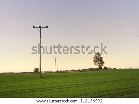 power lines in a row for the current-distribution with a tree in the natural