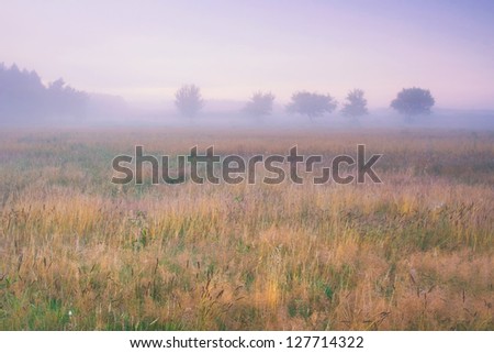 [Obrazek: stock-photo-sunrise-on-foggy-morning-127714322.jpg]
