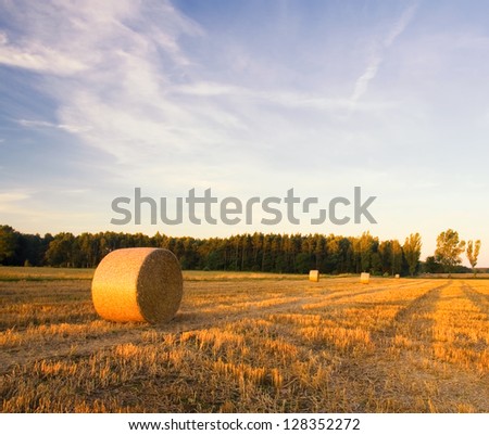 [Obrazek: stock-photo-bales-of-straw-at-sunset-sum...352272.jpg]