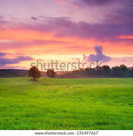 [Obrazek: stock-photo-after-sunset-trees-and-meadow-131497667.jpg]