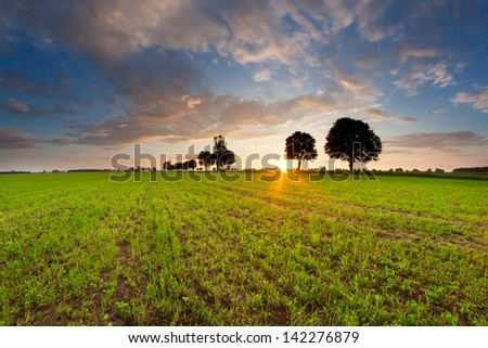 [Obrazek: stock-photo-trees-and-sunset-on-field-142276879.jpg]