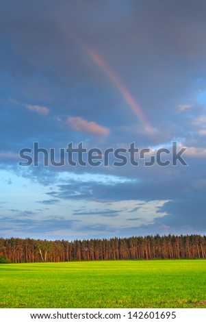 rainbow over grass field and forest. landscape