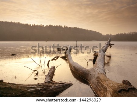 winter frozen lake sunset. old trunk in water