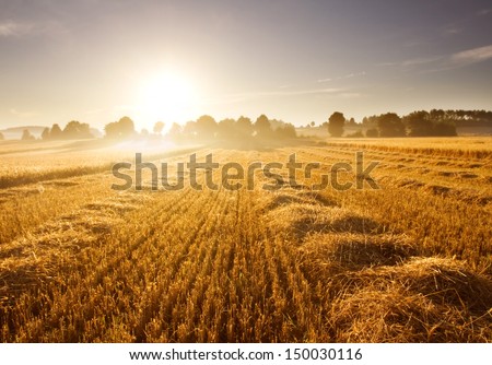 [Obrazek: stock-photo-stubble-field-at-sunrise-150030116.jpg]