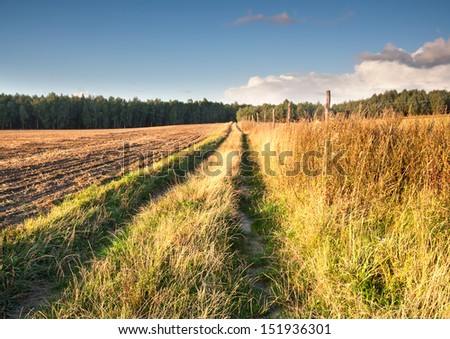 Country road to forest and field